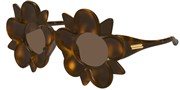 Kupovina ili uvećanje ove slike, Bottega Veneta BV1399S-008.
