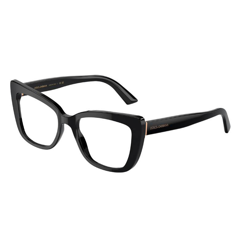 DOLCE E GABBANA 0DG3308-501