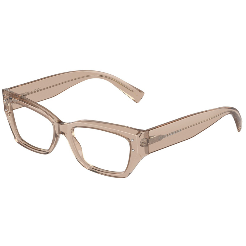 DOLCE E GABBANA 0DG3387-3432