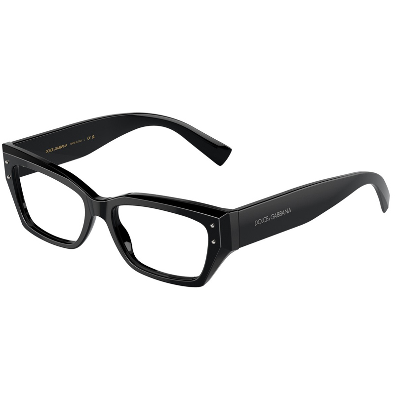 DOLCE E GABBANA 0DG3387-501