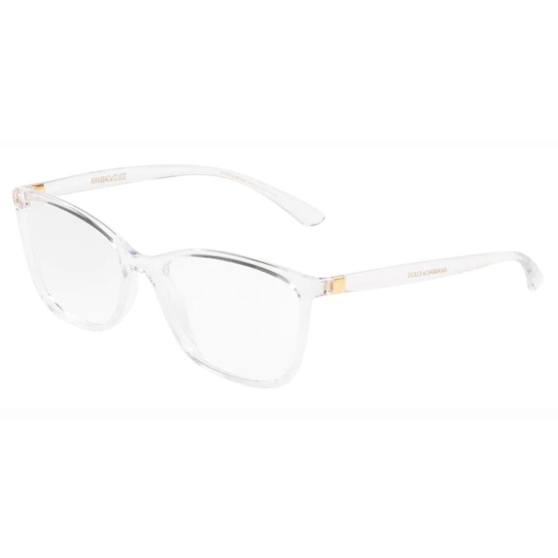 DOLCE E GABBANA 0DG5026-3133