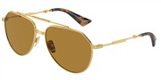 Dolce e Gabbana 0DG2302-0253