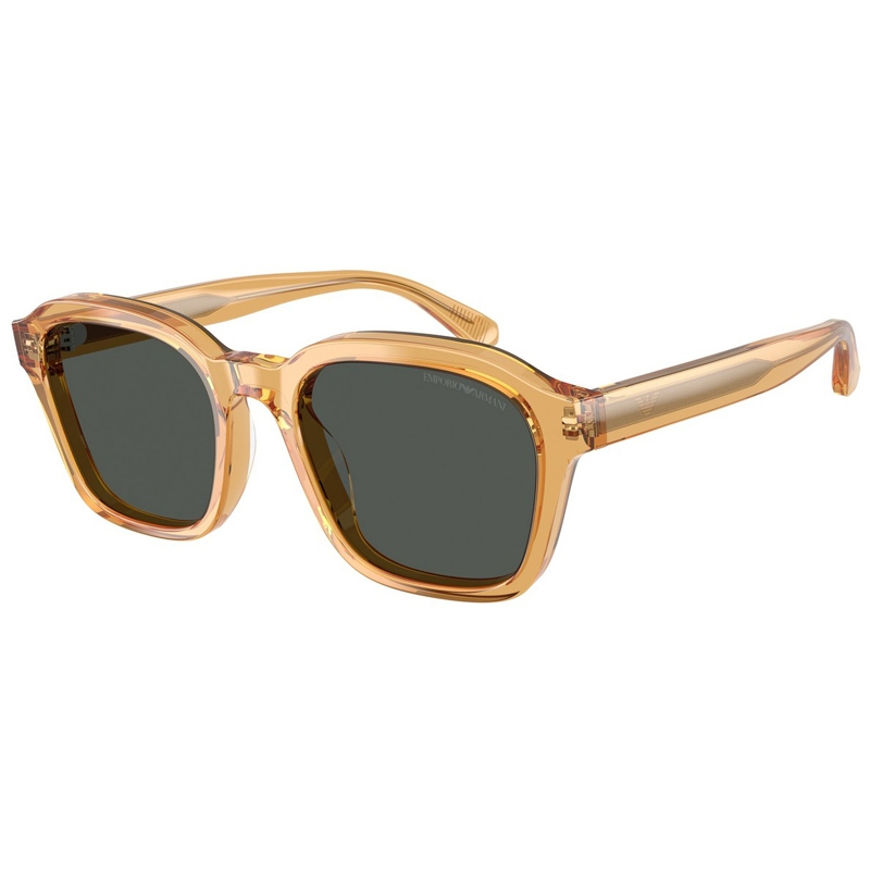 EMPORIO ARMANI 0EA4245U-624687