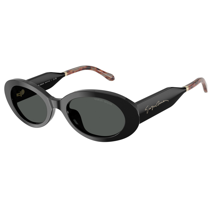 GIORGIO ARMANI 0AR8234U-587587