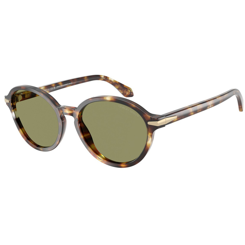 GIORGIO ARMANI 0AR8237-623214