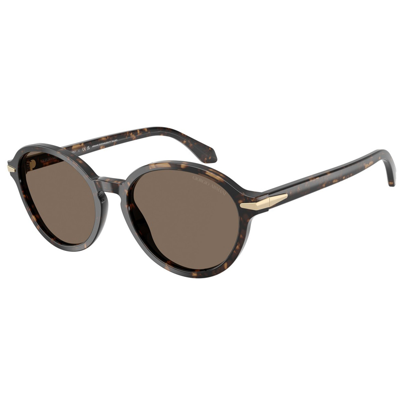 GIORGIO ARMANI 0AR8237-623573