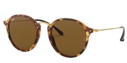 Ray Ban RB2447-1160